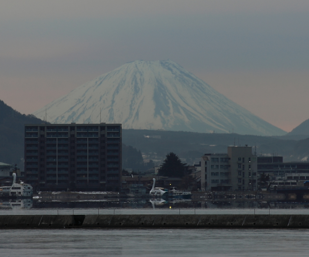 みずべ公園からの富士山