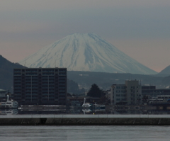 みずべ公園からの富士山