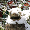 目を雪で覆われた狛犬