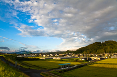 喬木村