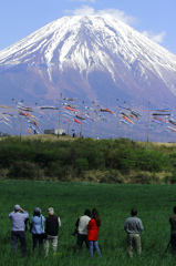 富士山と鯉のぼりを撮る人々