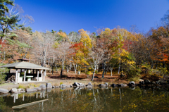 塩嶺公園　秋