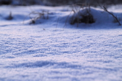 雪
