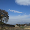 わに塚のサクラの木と八ヶ岳