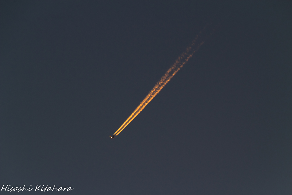 オレンジに染まる飛行機雲