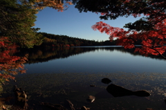 白駒池と紅葉