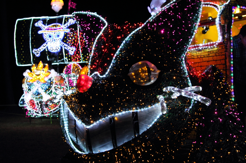 2012信州大芝高原イルミネーションフェスティバル