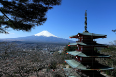 富士山と忠霊塔と桜