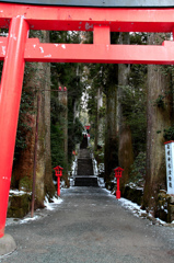 箱根神社鳥居