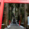 箱根神社鳥居