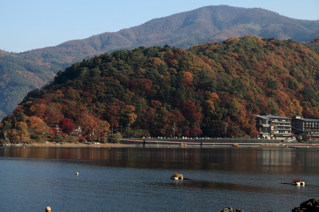河口湖と紅葉