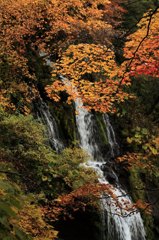 秋の滝