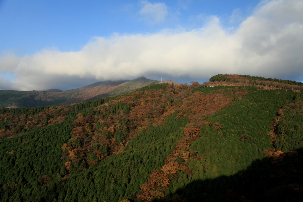 静岡県道１４７号からの風景