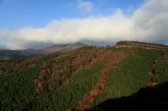 静岡県道１４７号からの風景