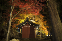 鳩ヶ嶺八幡宮　紅葉ライトアップ⑤