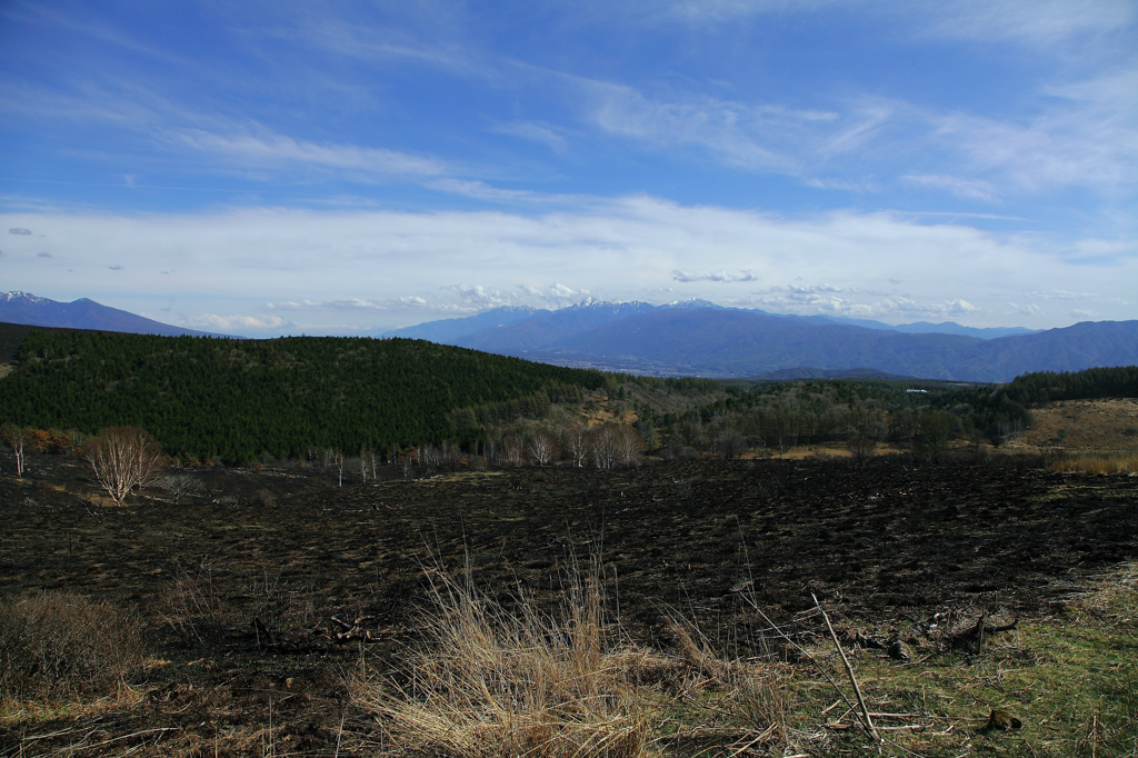 広範囲な山火事の跡