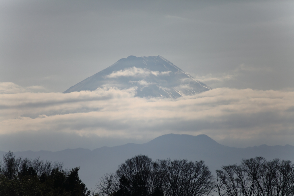 富士山