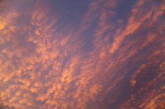 色づく空
