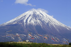富士山と鯉のぼり
