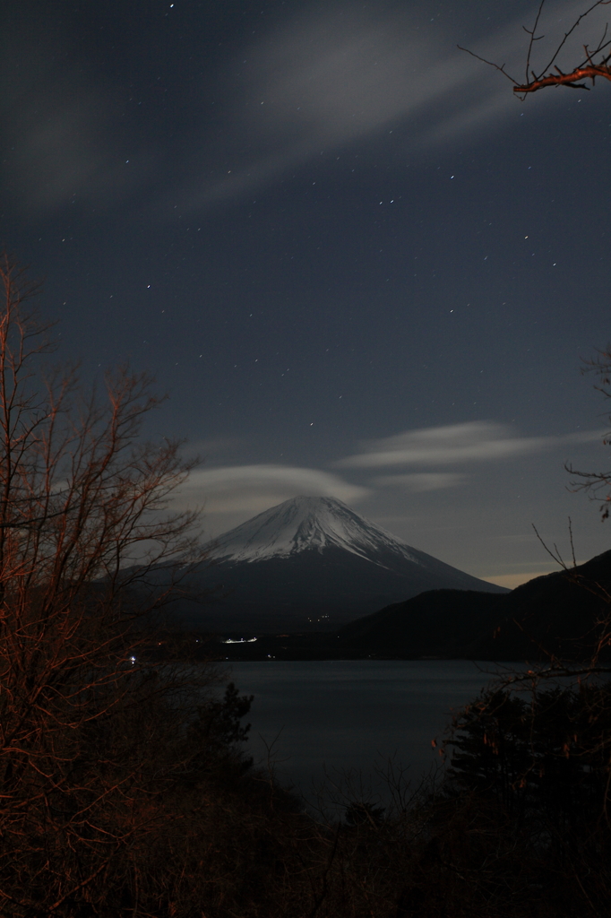 樹々と富士山