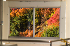 窓の向こうには紅葉