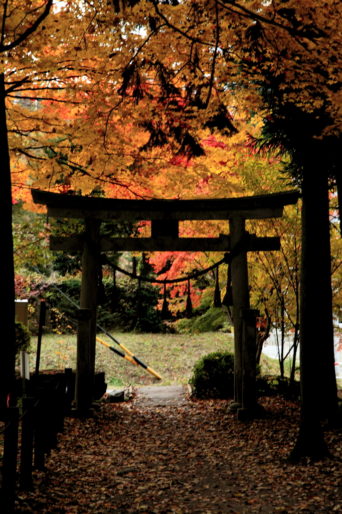鳥居