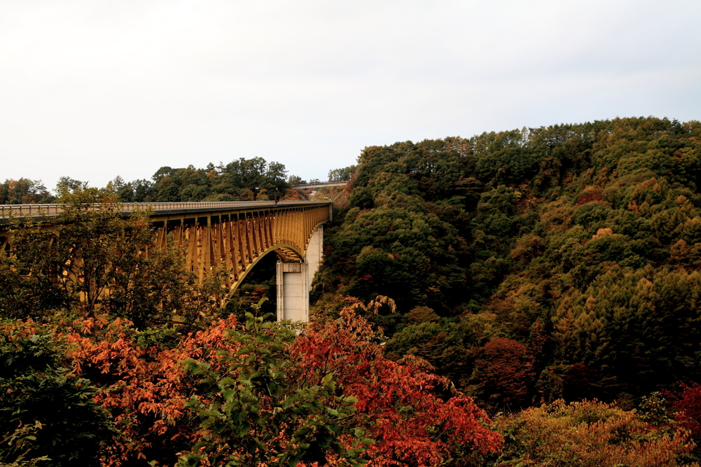清里高原道路　八ヶ岳高原大橋と紅葉