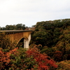 清里高原道路　八ヶ岳高原大橋と紅葉