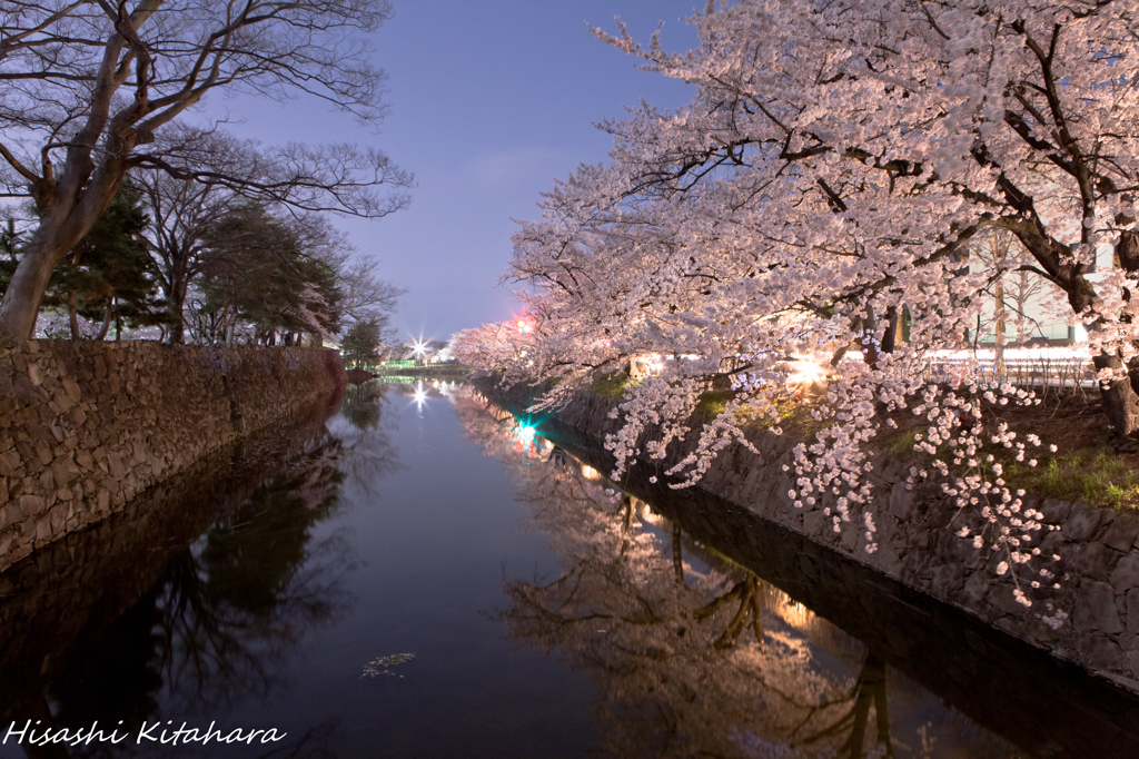 お堀周りの桜並木の映り込み