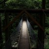 橋