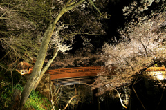 桜雲橋のライトアップ　