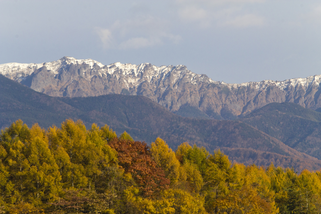 冠雪八ヶ岳と紅葉