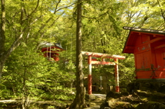 九頭竜神社