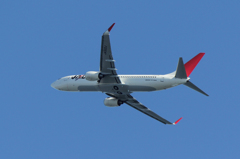 飛行機