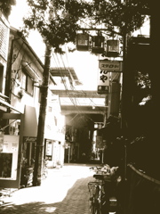 RIMG0982
