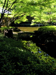 RIMG0658