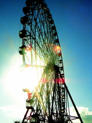 RIMG0973