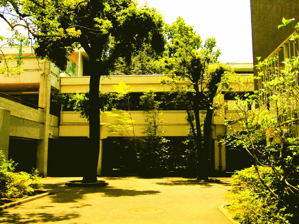 RIMG0771