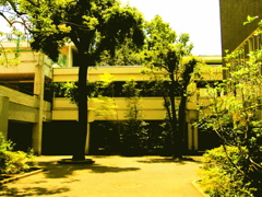 RIMG0771