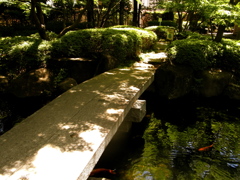 RIMG0652