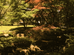 RIMG0654