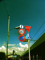 RIMG1230