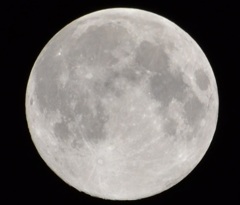 月（13年7月22日）