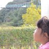 堺の車窓から（笑）