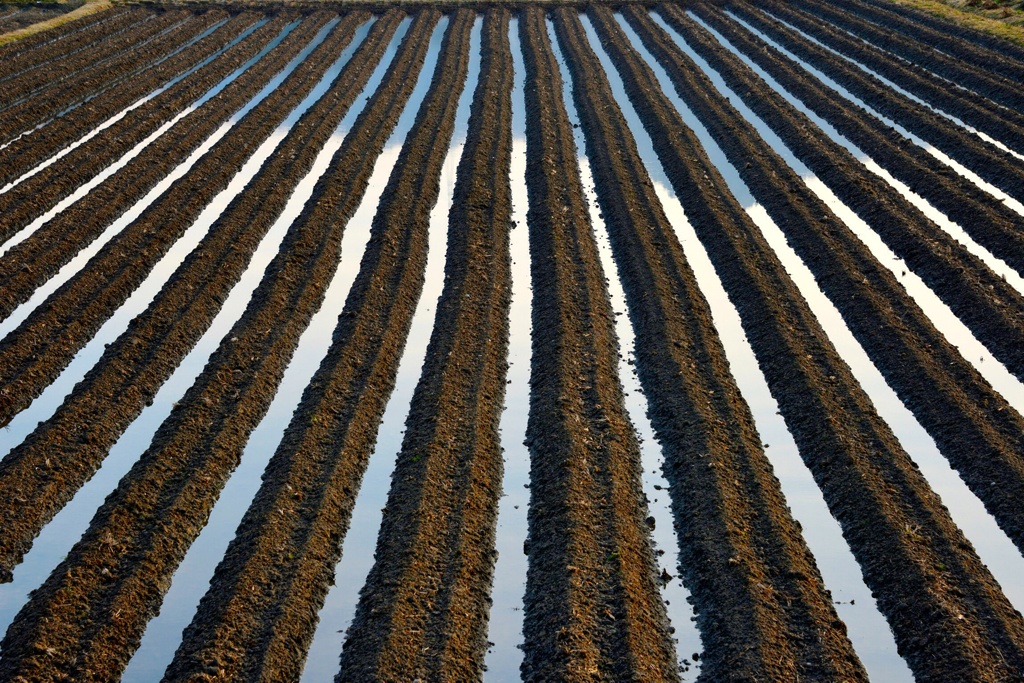 Snowmelt