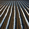 Snowmelt