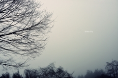 dense fog