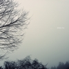 dense fog