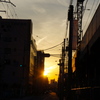 日暮れ