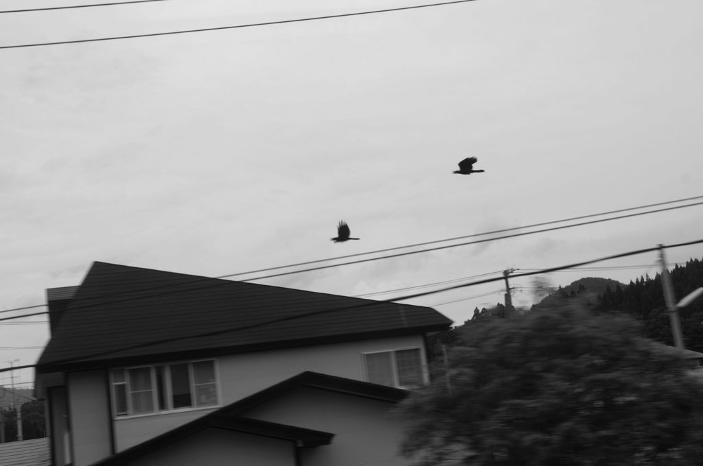 非日常